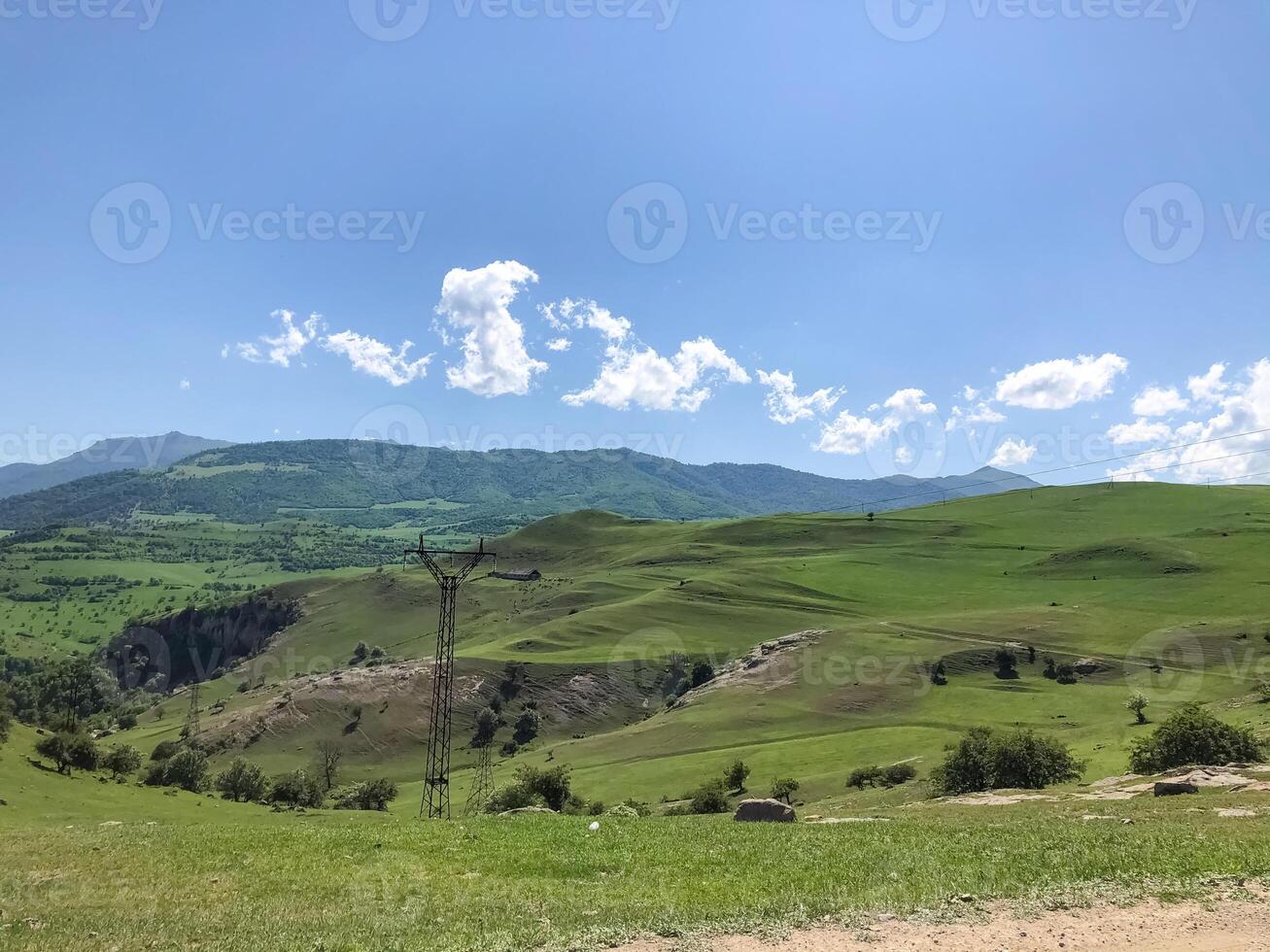 verão cenário, natureza dentro verão foto