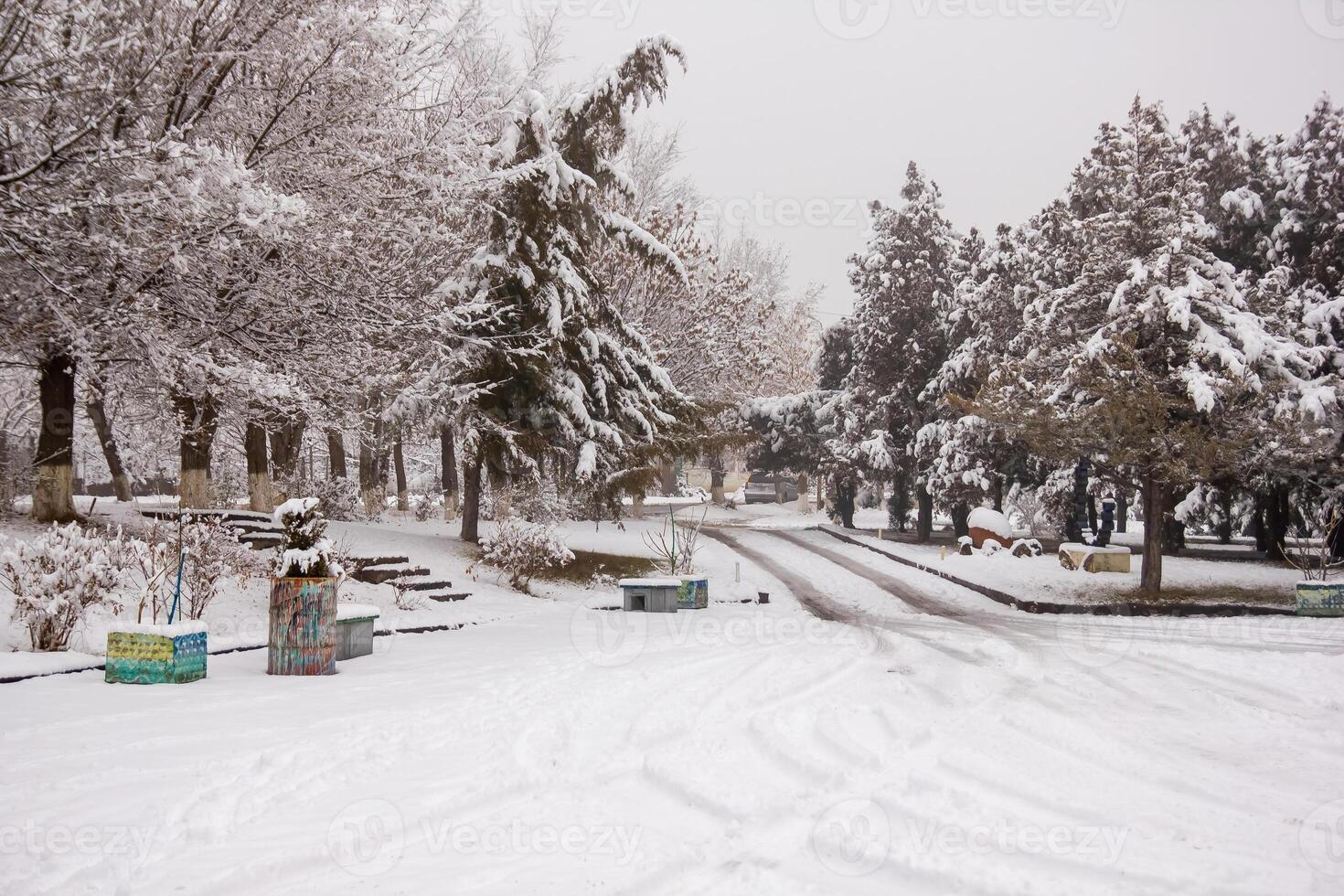 neve coberto árvores dentro a inverno floresta foto