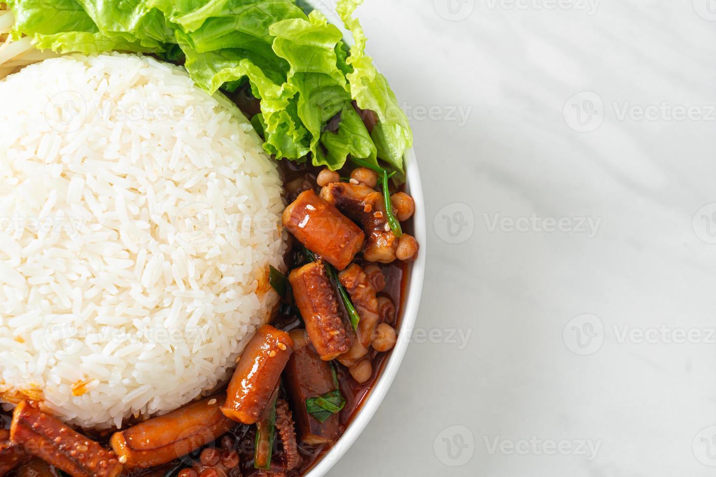 Lula ou polvo frito com molho picante coreano tigela de arroz foto