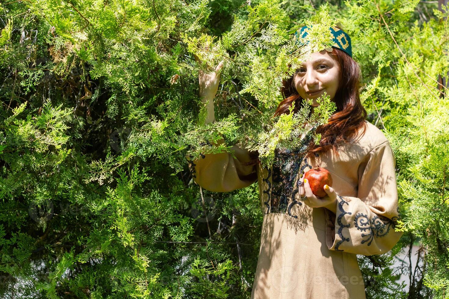 armênio jovem mulher dentro tradicional roupas dentro a natureza dentro verão foto