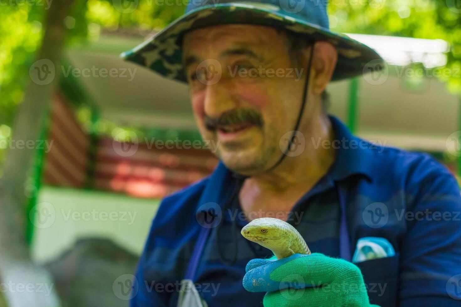 agricultor segurando uma verde cobra, trabalhador segurando uma verde serpente foto