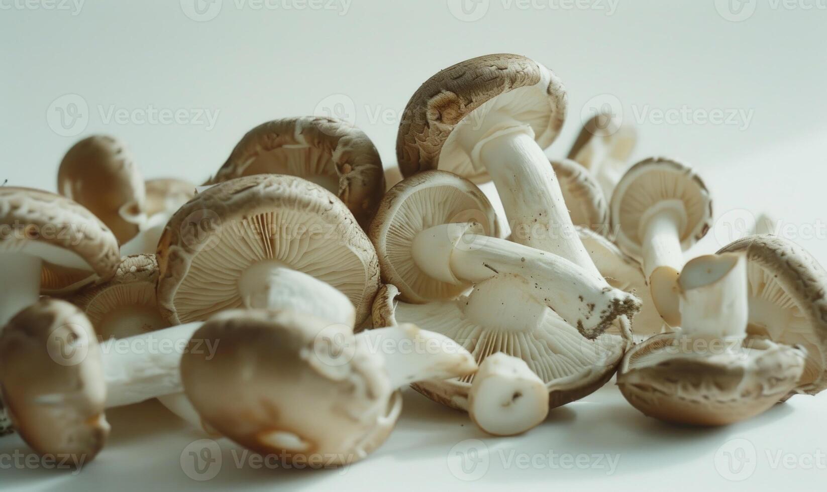 ai gerado shiitake cogumelos em branco fundo. shiitake cogumelos é uma tipo do cogumelo. foto