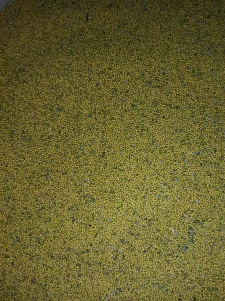 uma fechar acima do uma amarelo campo do mostarda sementes foto