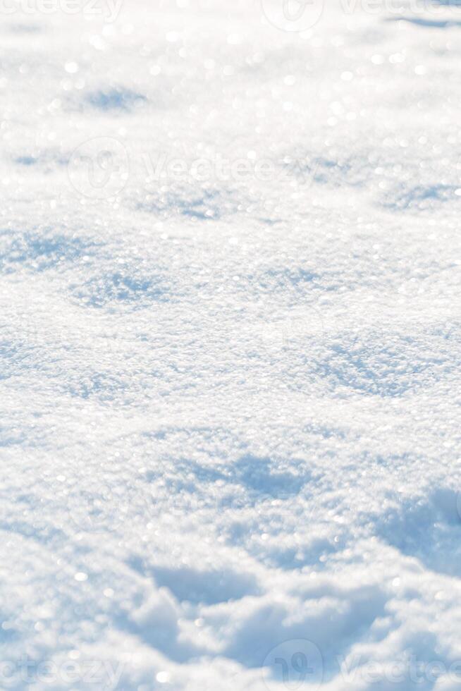 Nevado campo em uma ensolarado dia. inverno e geada foto