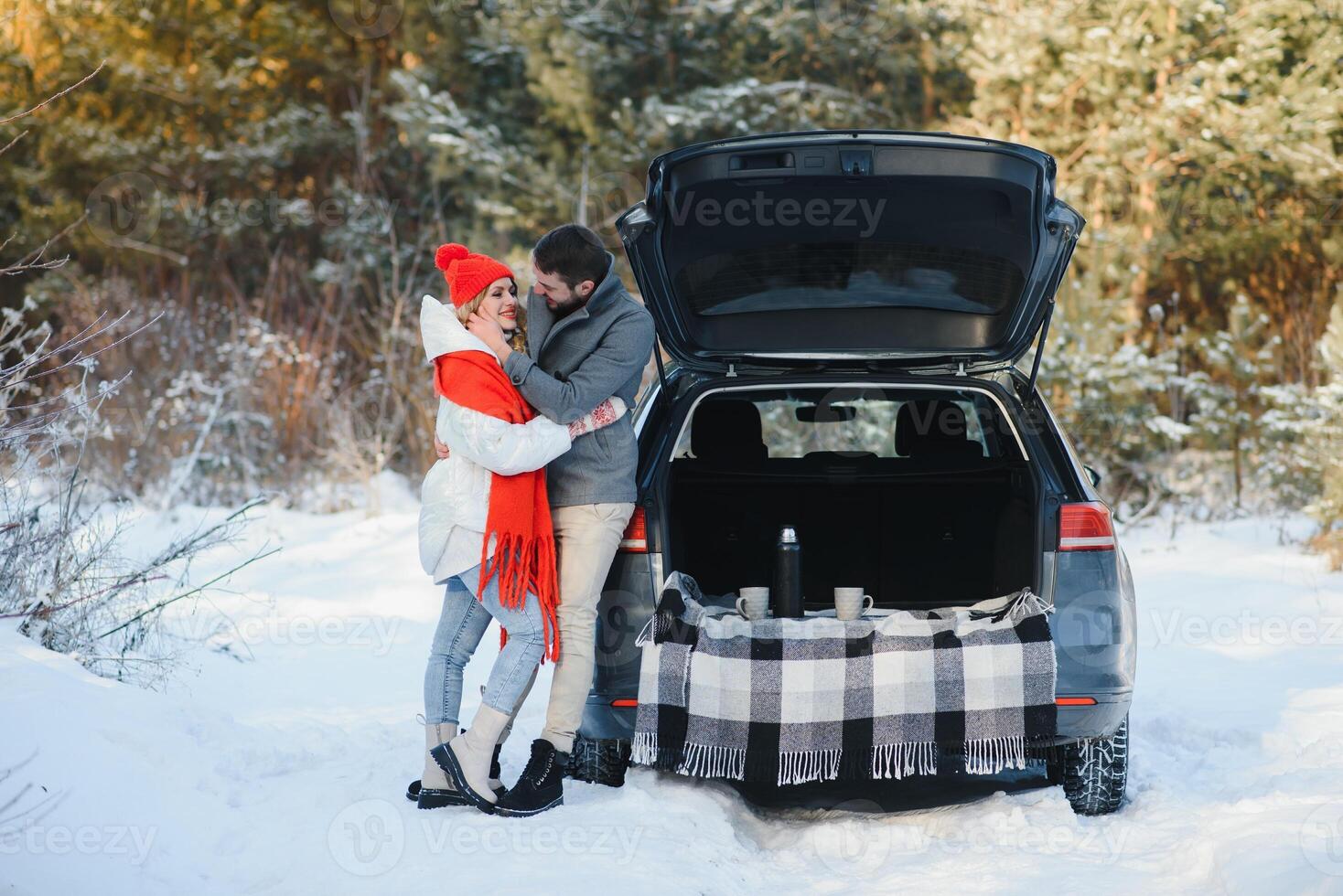 inverno piquenique dentro a floresta. amor história dentro neve. casal dentro inverno jogar dentro neve e abraçando perto a pinho. dois amantes em inverno andar. dia dos namorados dia para casal dentro rústico estilo. inverno história de amor foto