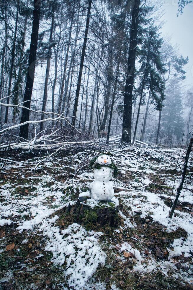 boneco de neve em uma árvore toco com cenoura, botões, galhos, pinho agulhas Como cabelo foto