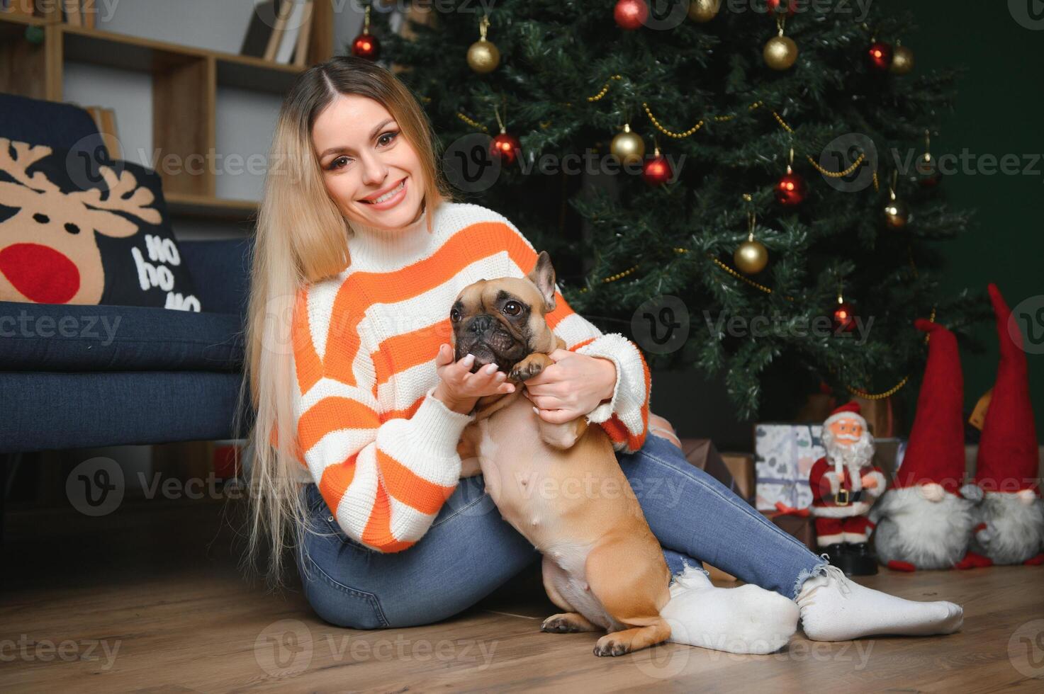 pequeno cachorro com proprietário jogando e tendo Diversão. jovem adolescente menina sentado em a sofá com dela animal. Natal árvore dentro a fundo. suave seletivo foco foto