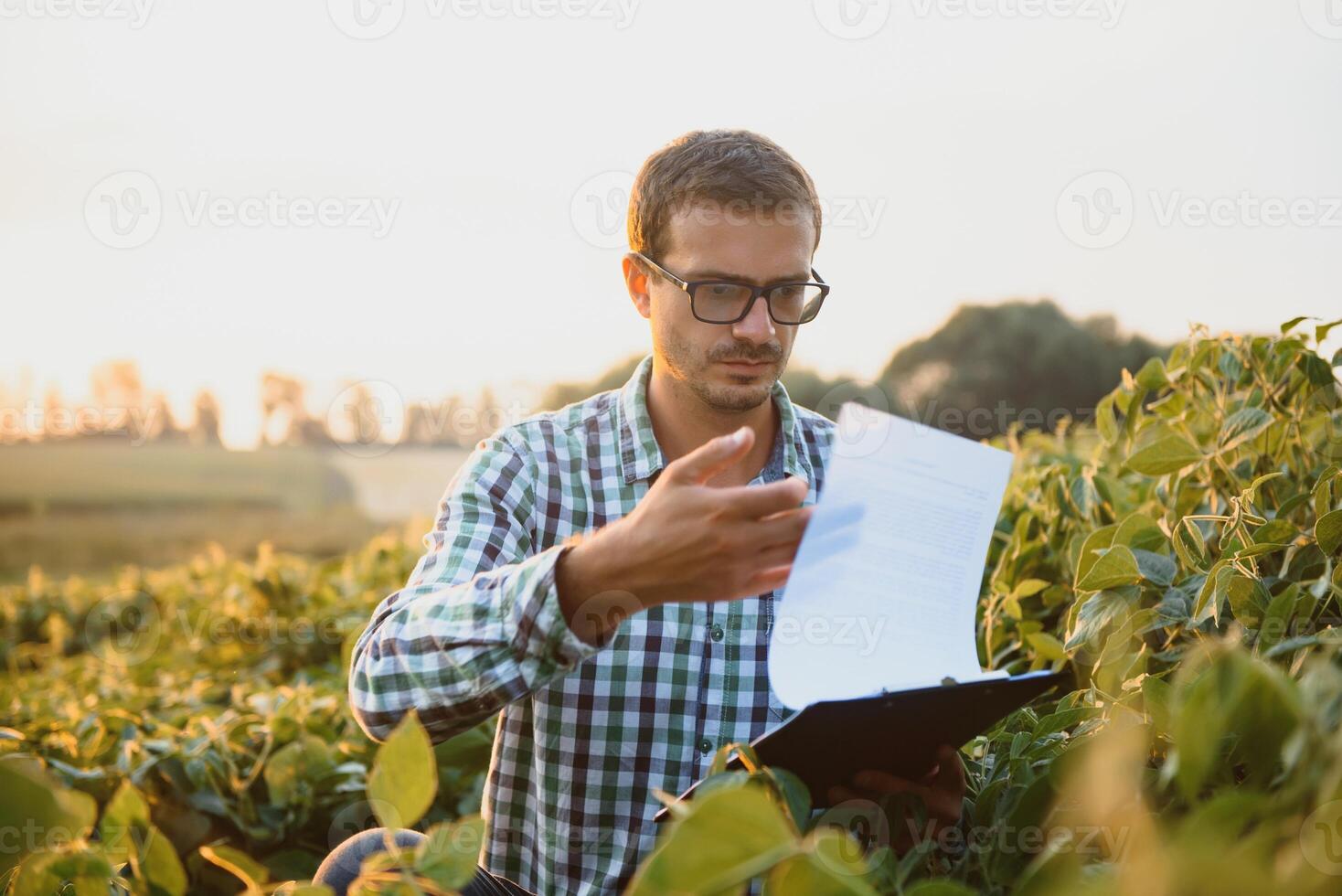 jovem agricultor em campos de soja foto