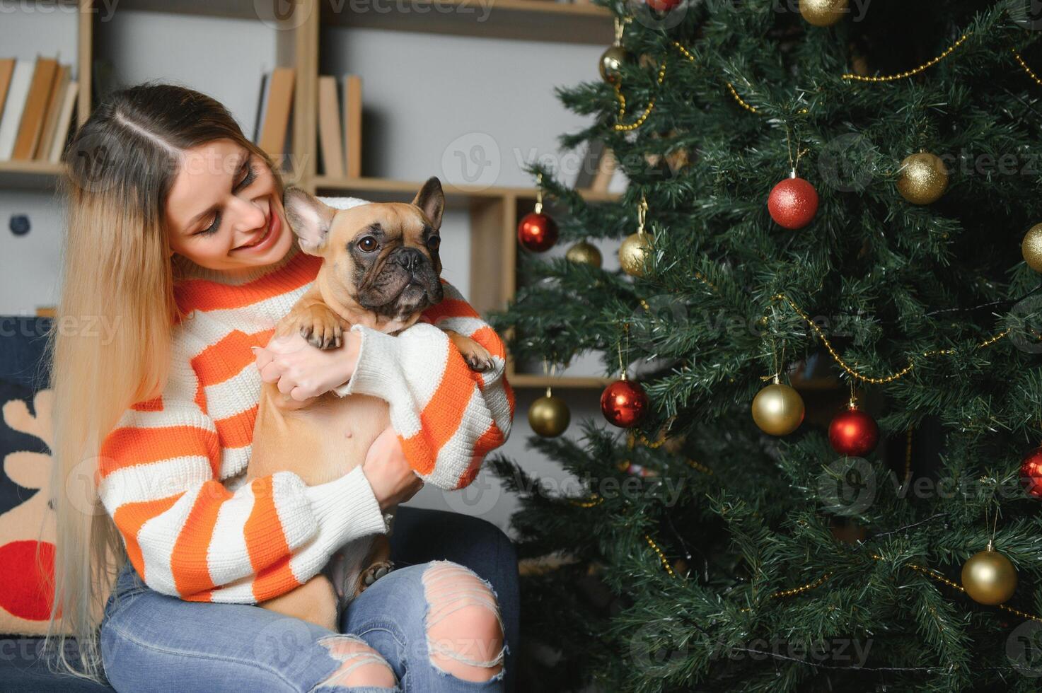 pequeno cachorro com proprietário jogando e tendo Diversão. jovem adolescente menina sentado em a sofá com dela animal. Natal árvore dentro a fundo. suave seletivo foco foto