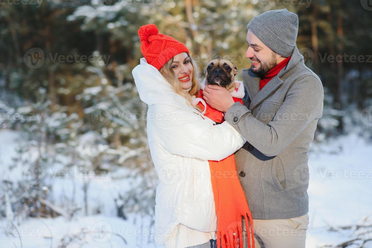 inverno piquenique dentro a floresta. amor história dentro neve. casal dentro inverno jogar dentro neve e abraçando perto a pinho. dois amantes em inverno andar. dia dos namorados dia para casal dentro rústico estilo. inverno história de amor foto