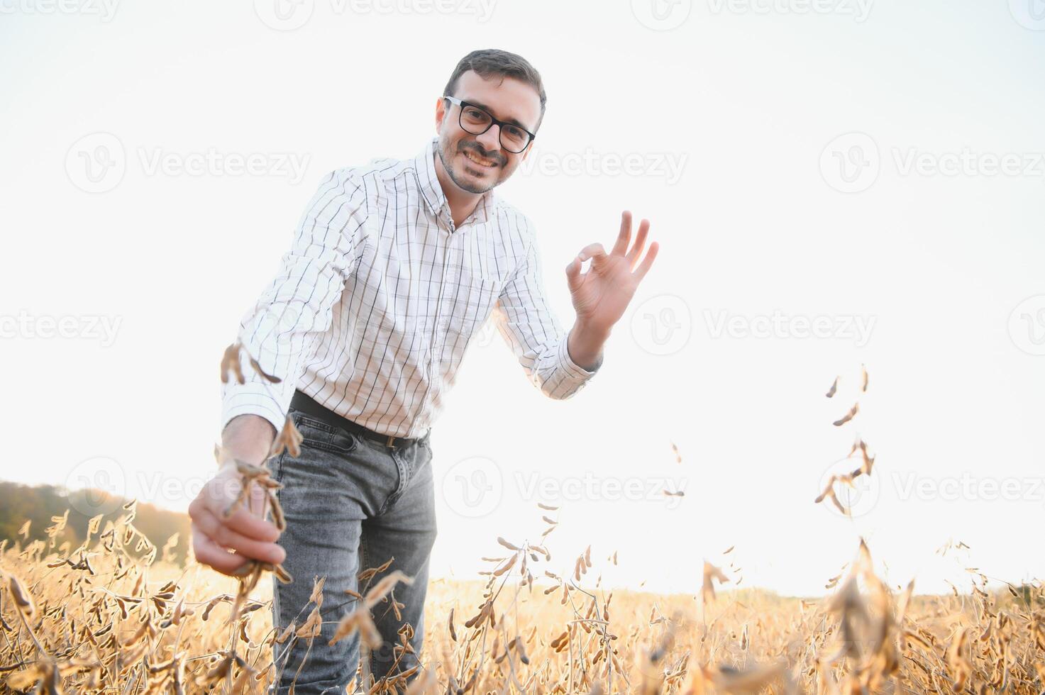 agricultor em pé dentro soja campo examinando colheita às pôr do sol. foto