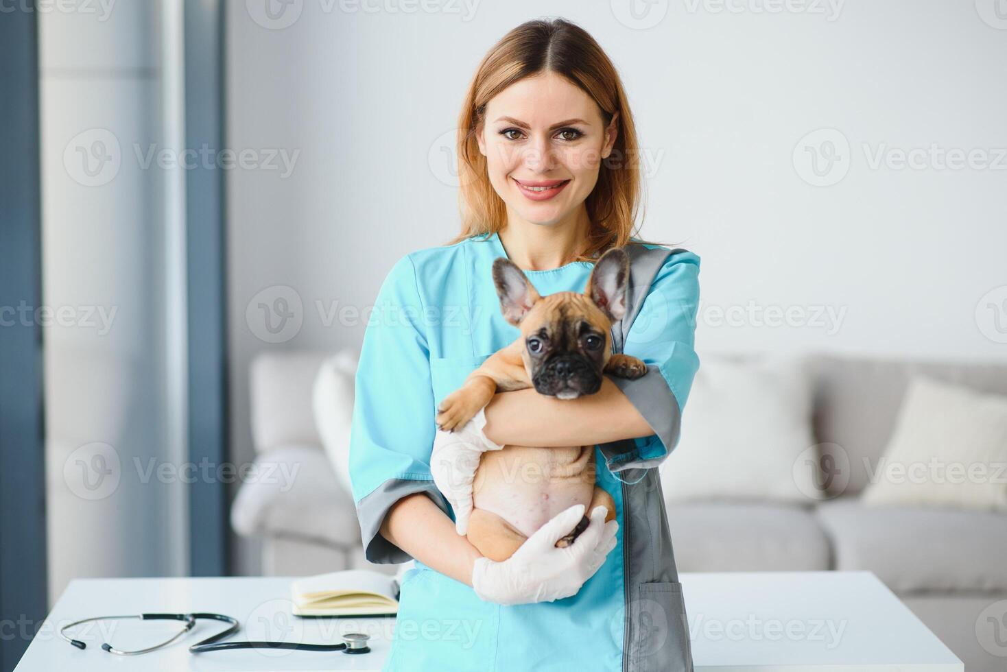 feliz veterinário médico abraços cachorro dentro veterinario clínica. esvaziar espaço para texto foto