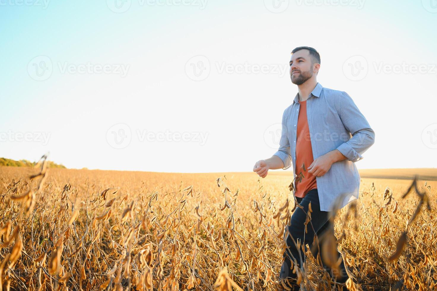 agricultor ou agrônomo inspecionando soja campo. foto