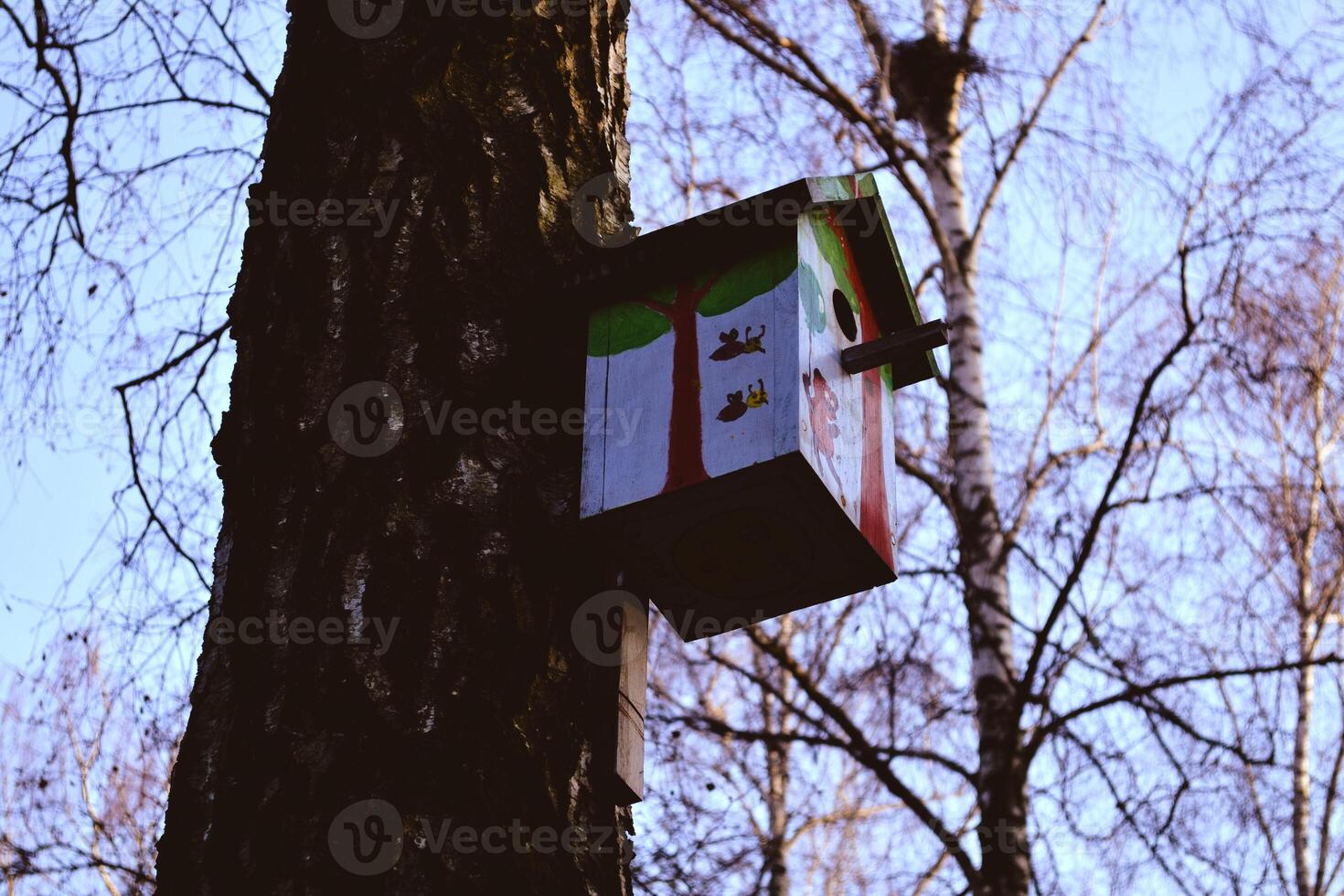 colorida Casa de passarinho em a árvore. aninhamento caixa. foto