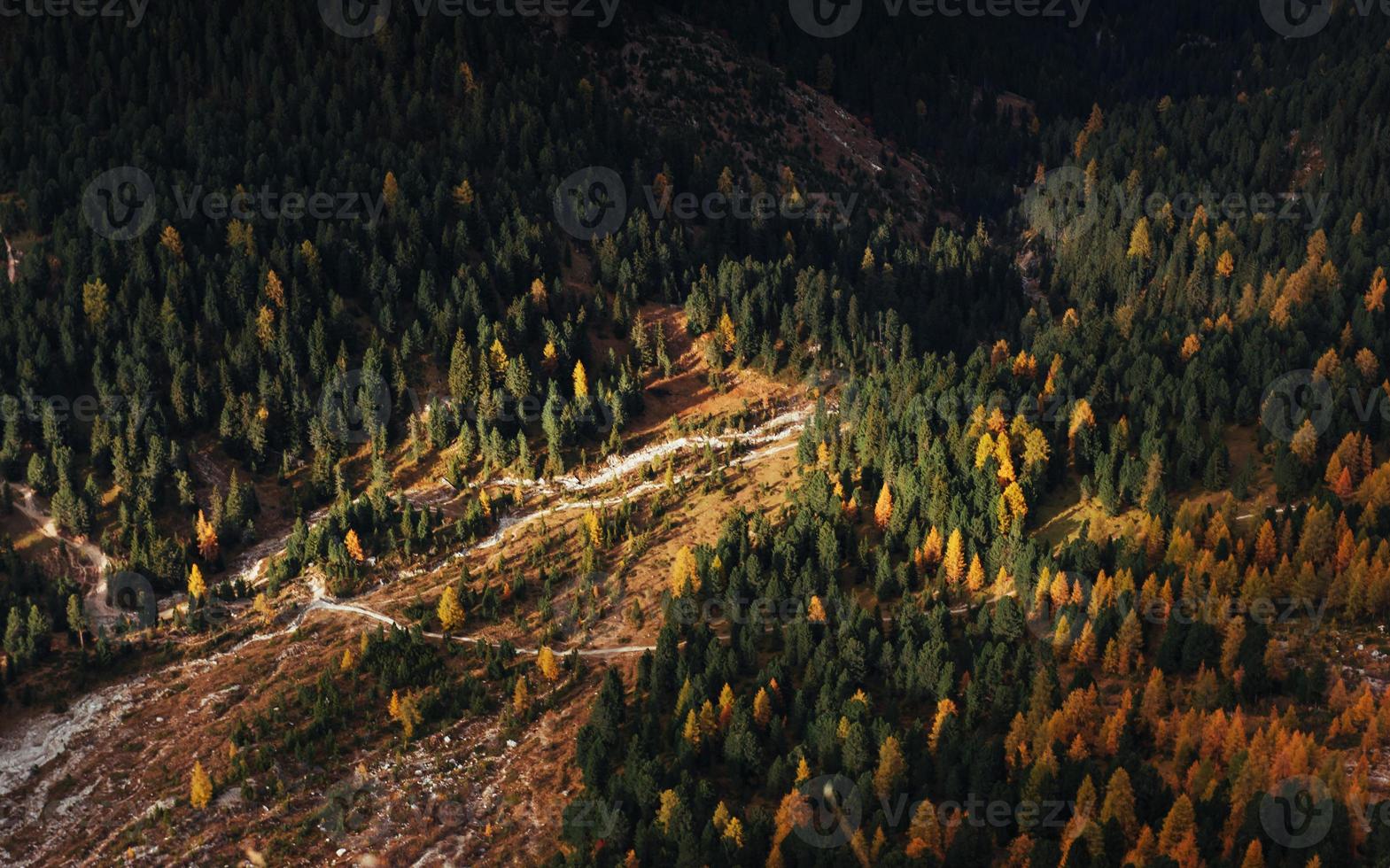 vista do topo da montanha com árvores parcialmente iluminadas pelo sol foto