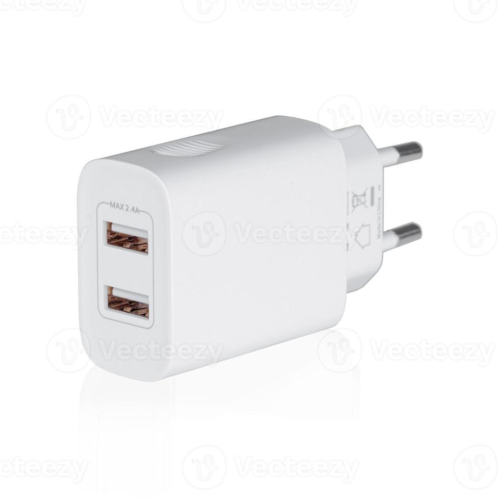 rede adaptador 220v USB cobrando em uma branco fundo foto