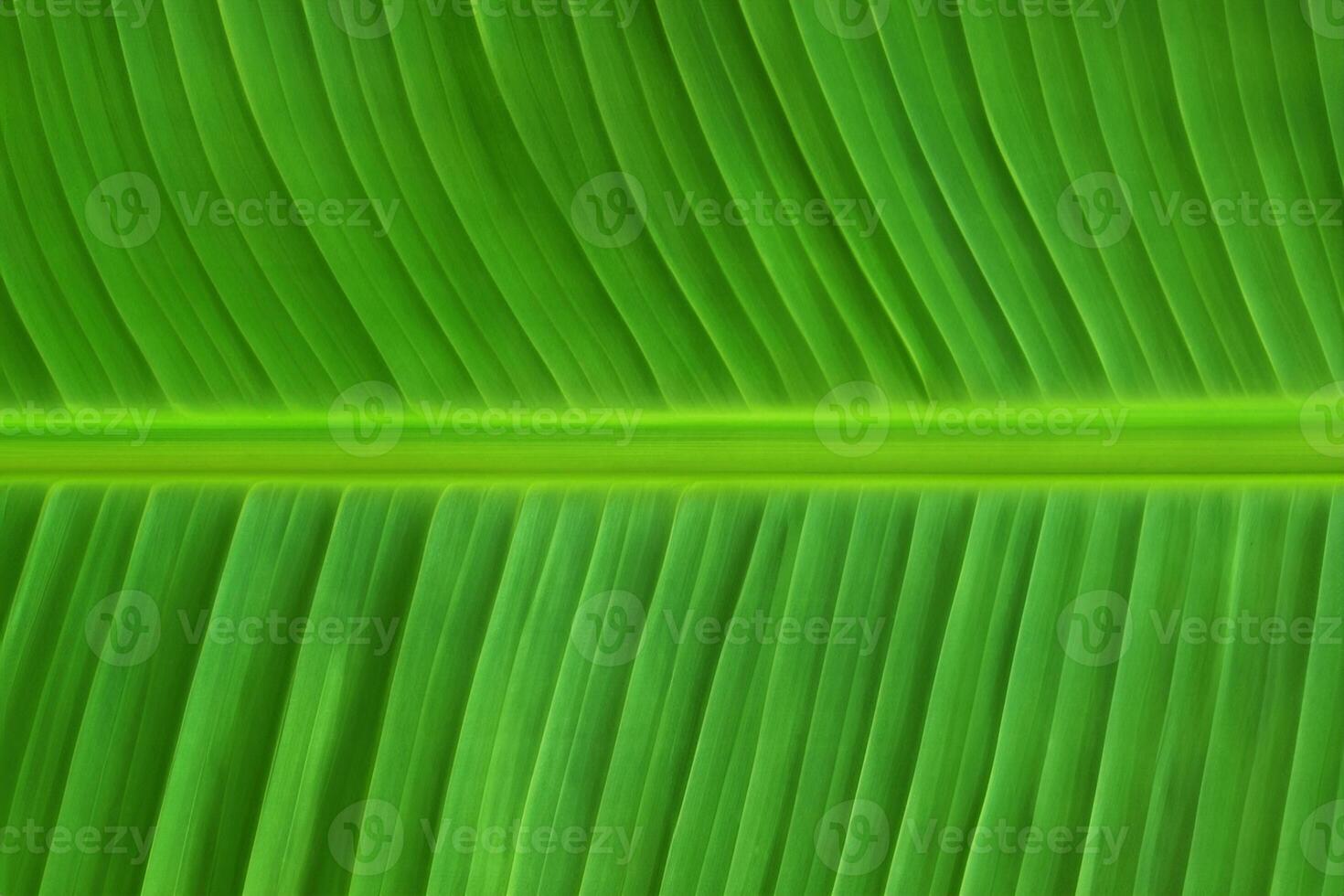 verde banana folha textura para artístico Projeto foto
