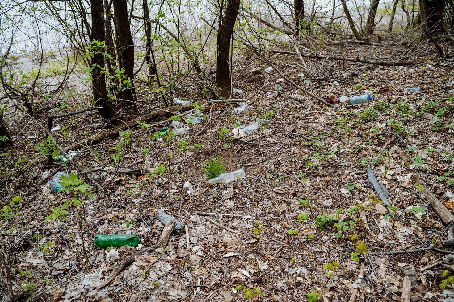 lixo é a de Meio Ambiente desastre poluição, plástico garrafas mentira dentro a floresta envenenamento a terra, humano desperdício em a rio banco. foto