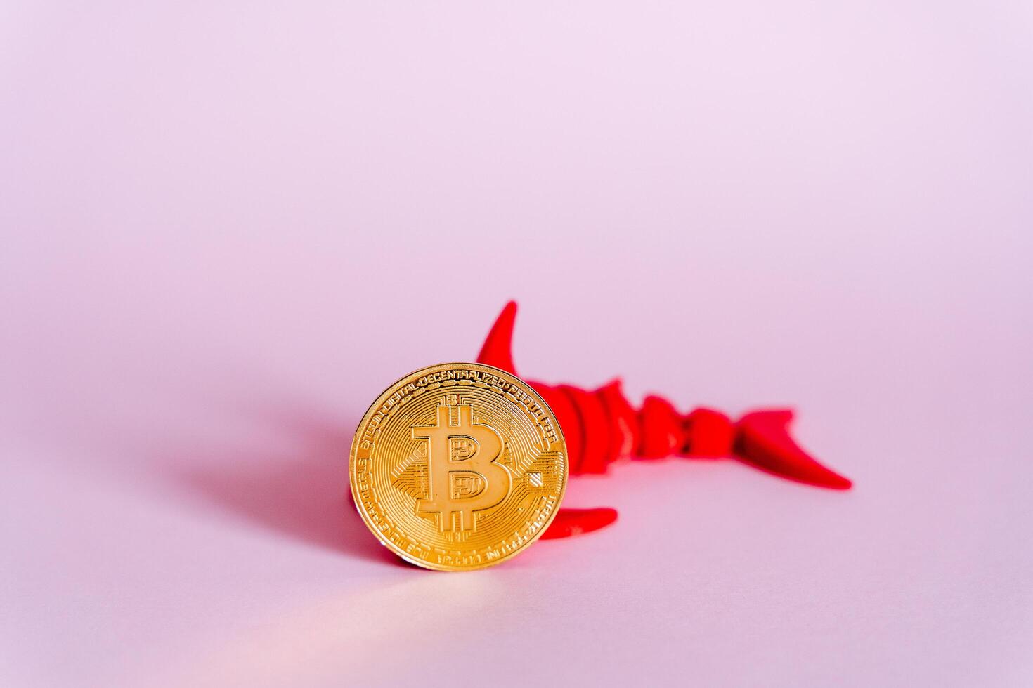 bitcoin ouro em uma criativo fundo vermelho Tubarão rabo conceito dinheiro Tubarão o negócio criptomoeda flutua em uma Rosa campo foto