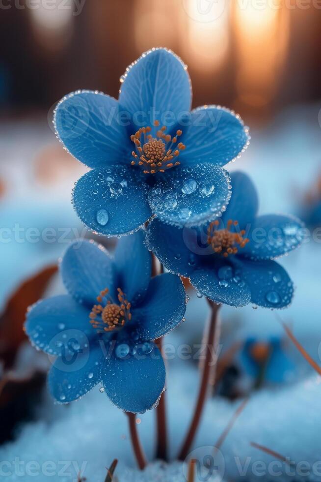 ai gerado três azul flores dentro a neve. primeiro Primavera flores foto