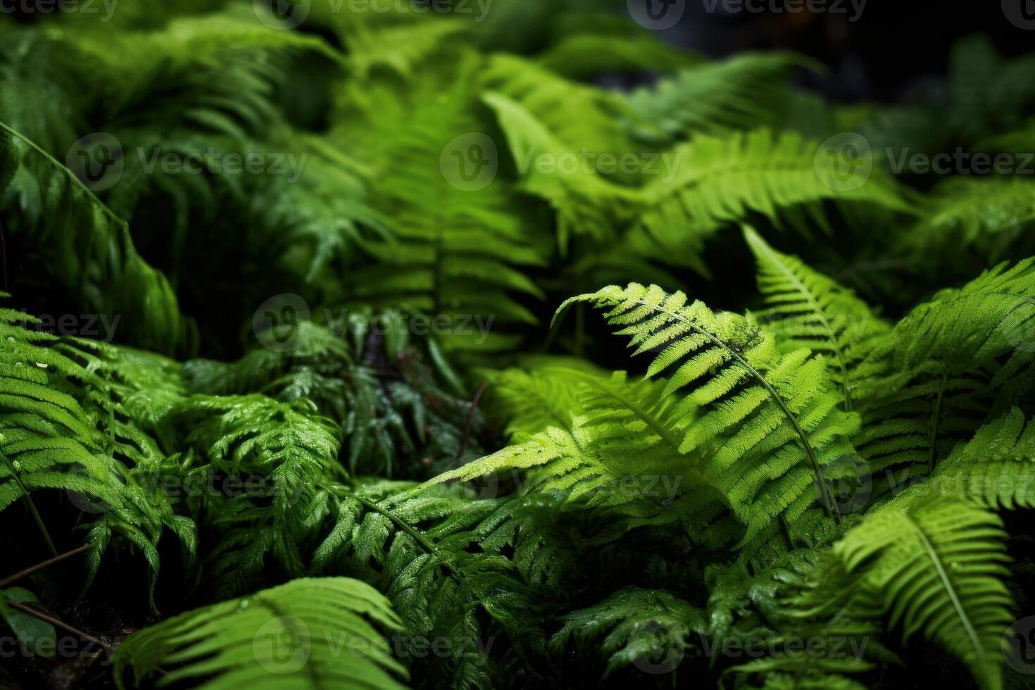 ai gerado úmido plantar crescendo solo fechar-se. gerar ai foto