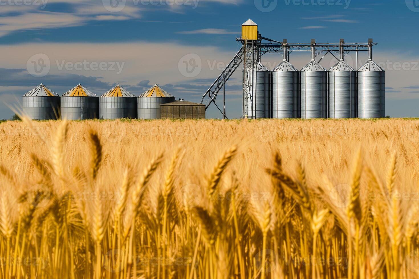 ai gerado em trigo campo, colheita Tempo em trigo campo, colheita Tempo foto