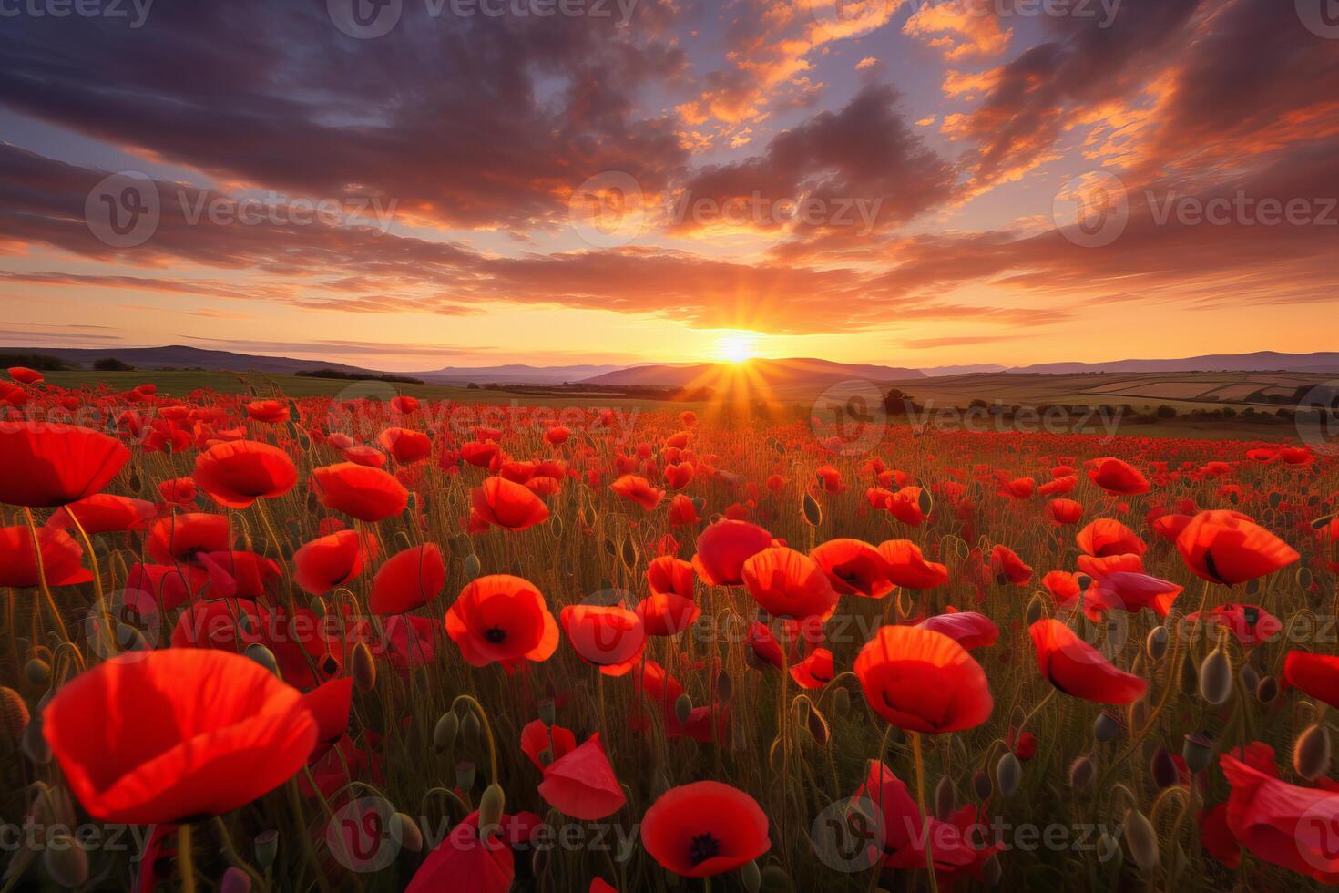 ai gerado papoula campo pôr do sol arte pintar. gerar ai foto