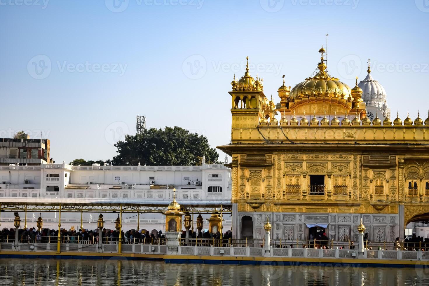 lindo Visão do dourado têmpora - Harmandir sahib dentro amritsar, punjab, Índia, famoso indiano sikh marco, dourado têmpora, a a Principal santuário do sikhs dentro amritsar, Índia foto