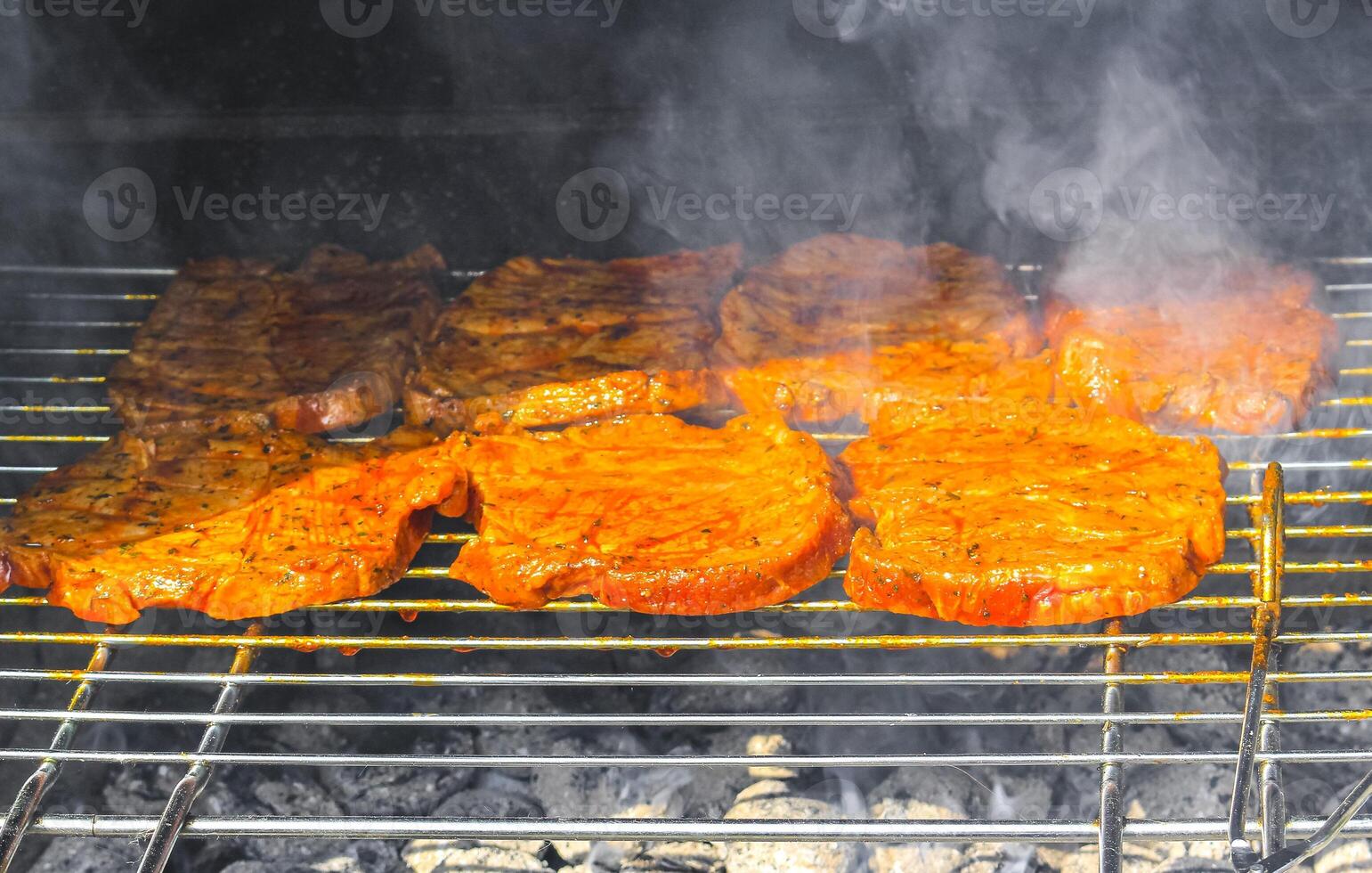 grelhado carne em uma grade prateleira dentro Alemanha. foto