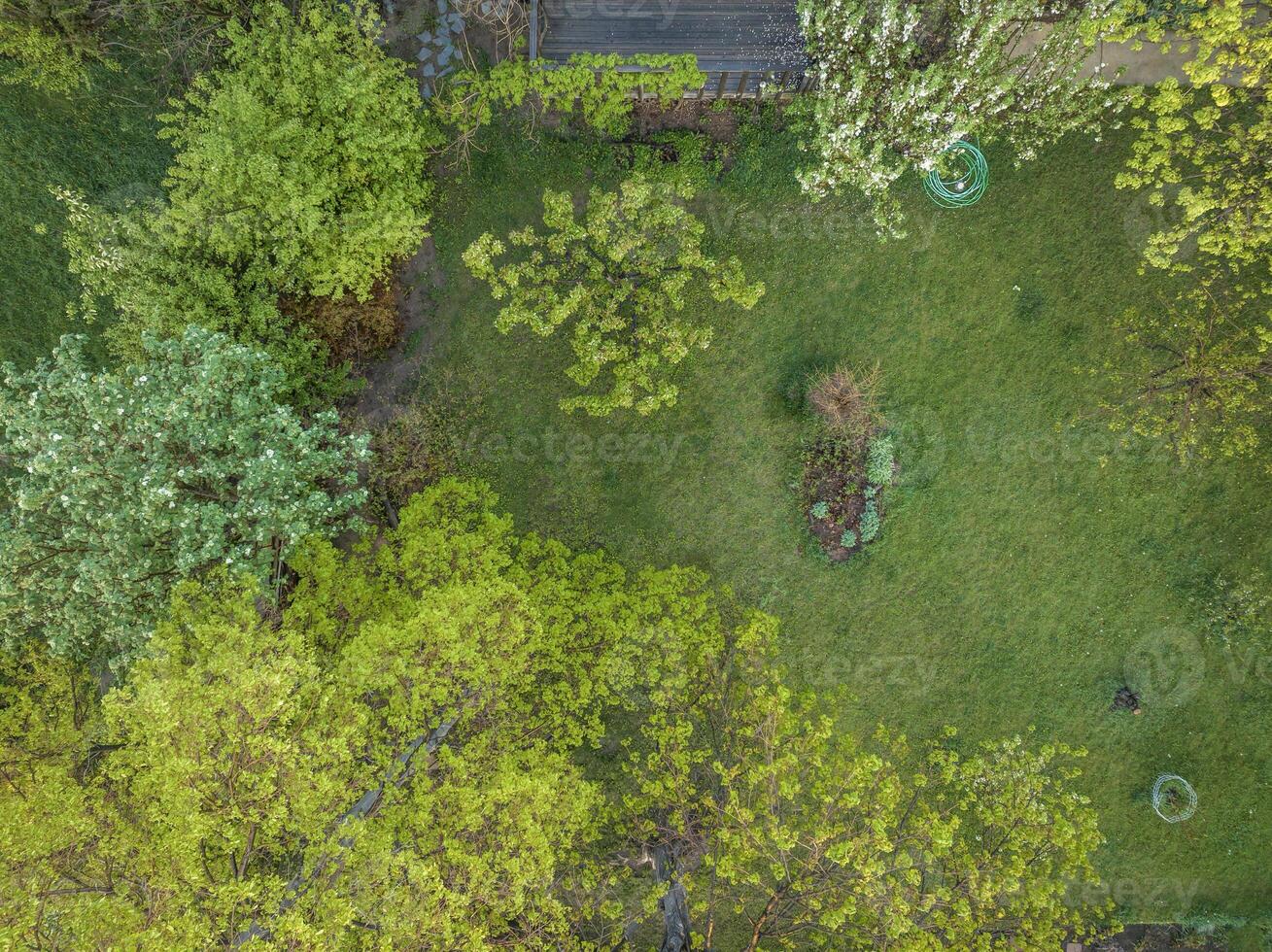 aéreo Visão do uma verde quintal dentro primavera cenário com florescendo fruta árvores foto