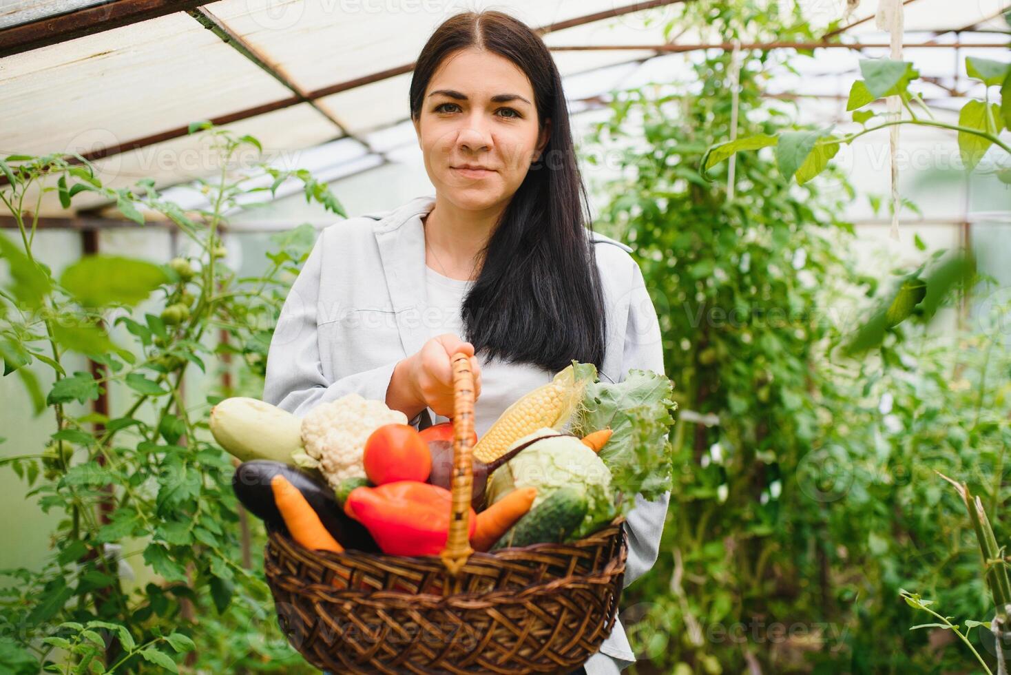 jovem mulher dentro leva Cuidado do fresco vegetal orgânico dentro madeira estilo cesta preparar servindo colheita de uma fofa bonita menina dentro hidropônico fazenda, estufa foto