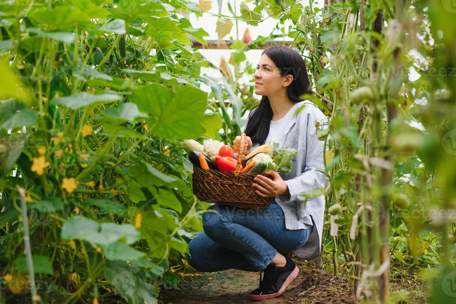 jovem mulher dentro leva Cuidado do fresco vegetal orgânico dentro madeira estilo cesta preparar servindo colheita de uma fofa bonita menina dentro hidropônico fazenda, estufa foto