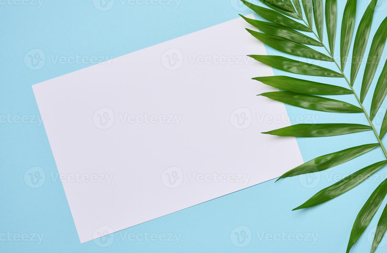 em branco Folha do branco papel e Palma ramo em azul fundo foto