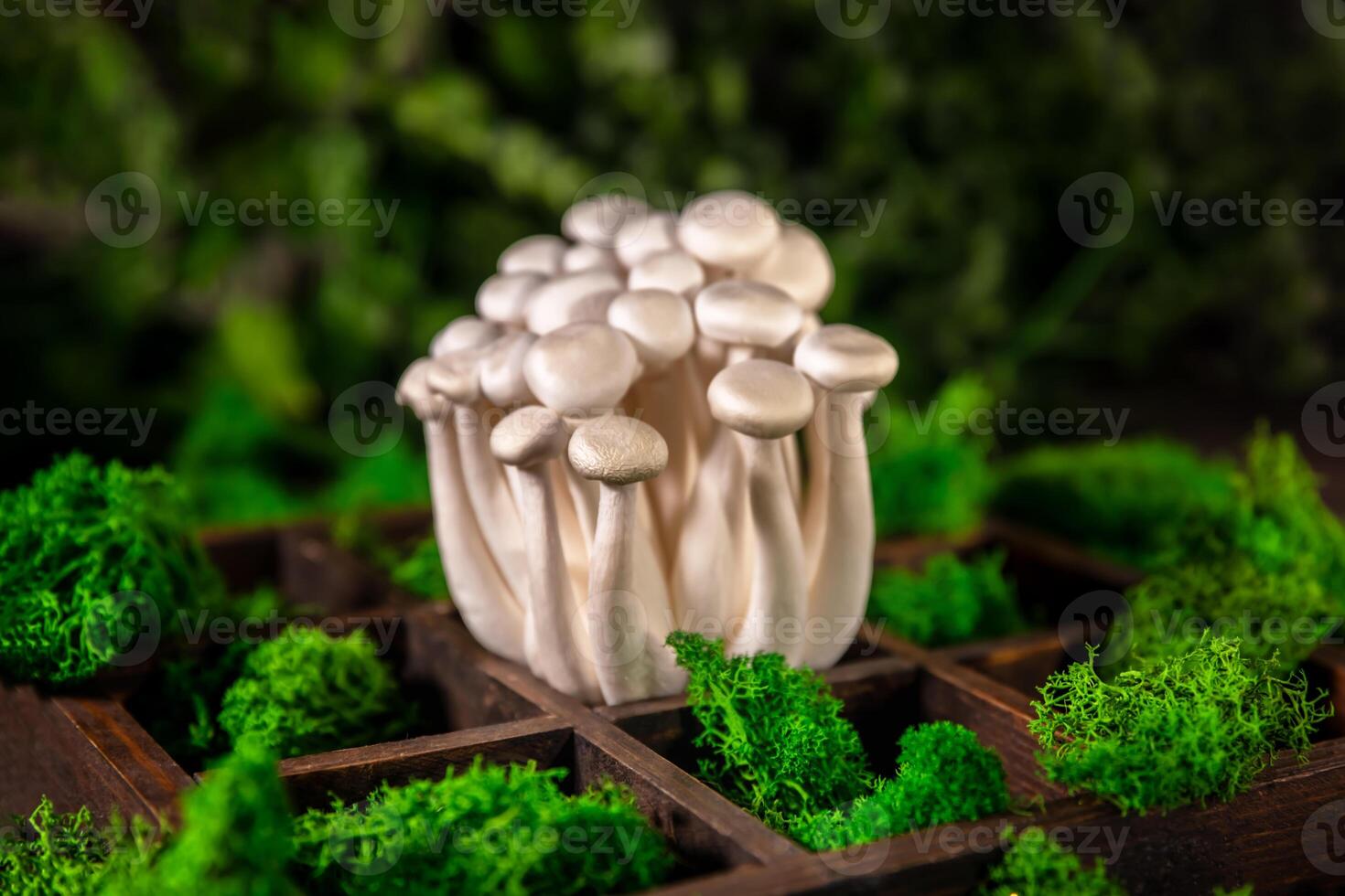 fechar-se do uma grupo do shimeji cogumelos em de madeira fundo, com seletivo foco foto