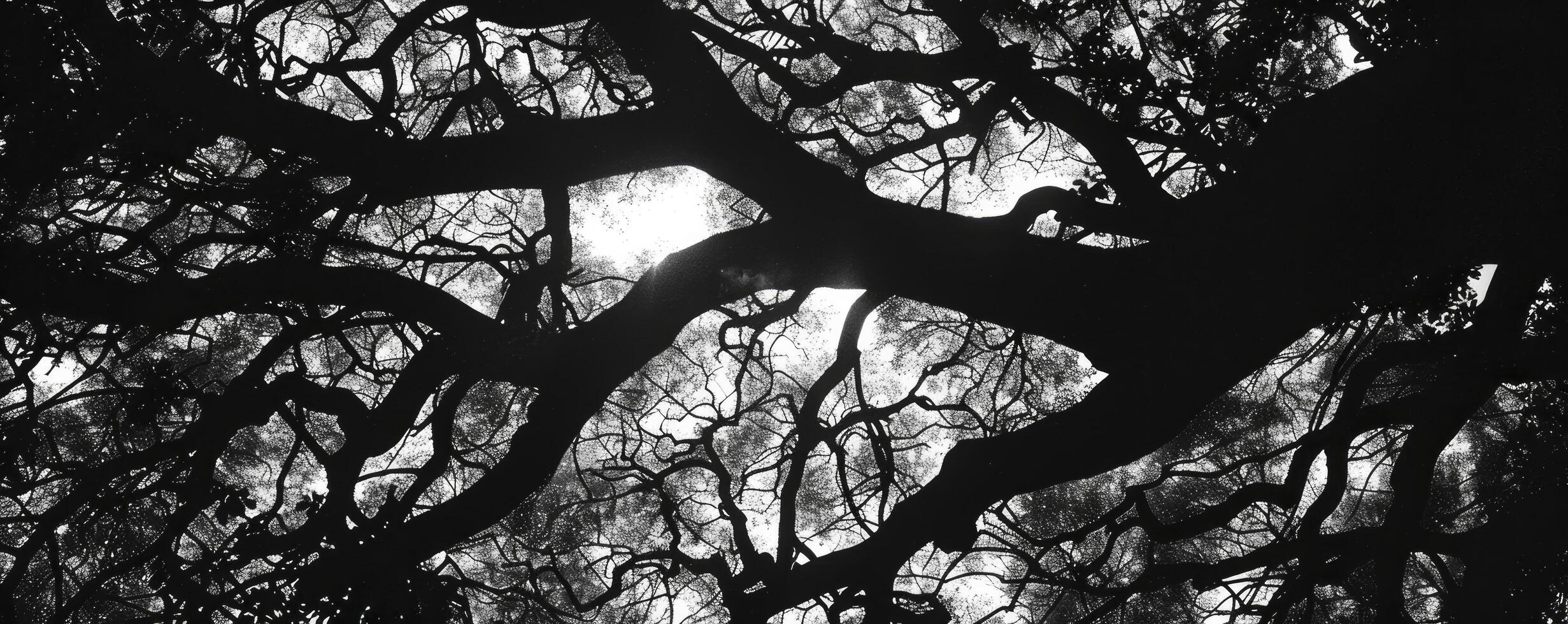 ai gerado abaixo a estrelado marquise, sombreado galhos do uma árvore fundida contra a Preto e branco tons do a grande noite céu foto