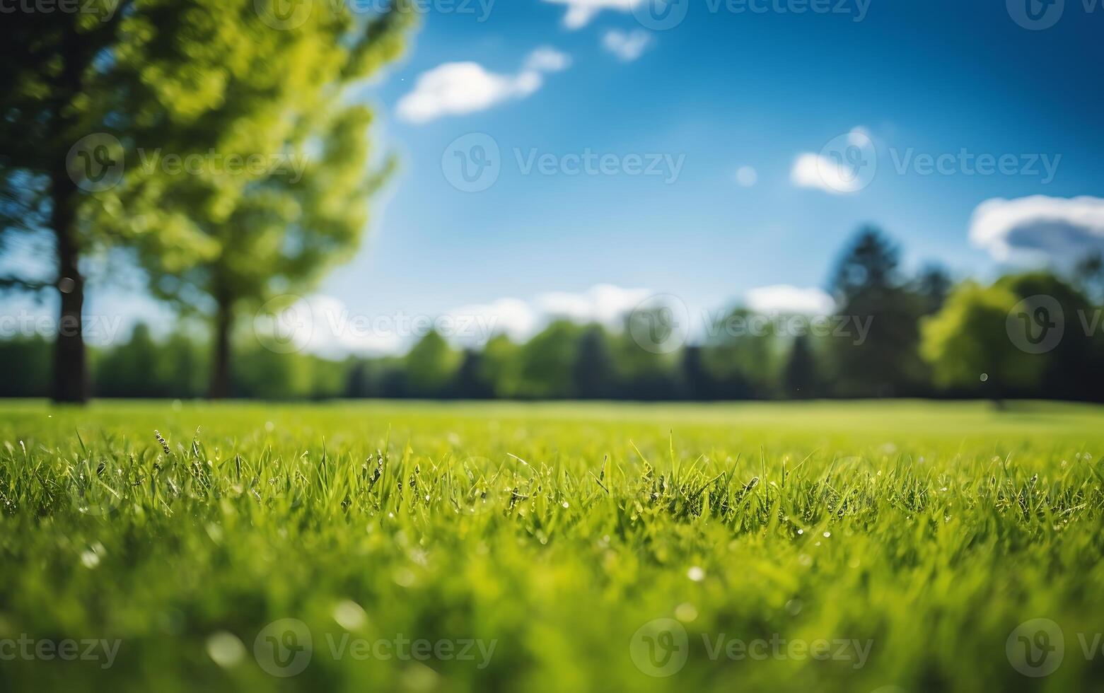 ai gerado verde Relva dentro a parque com luz solar e bokeh fundo, raso profundidade do campo foto