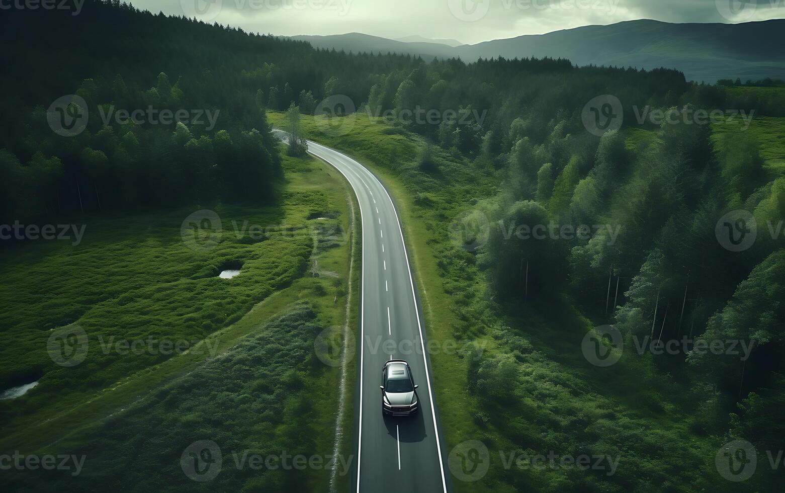 ai gerado aéreo Visão do uma estrada dentro a floresta. 3d Renderização foto