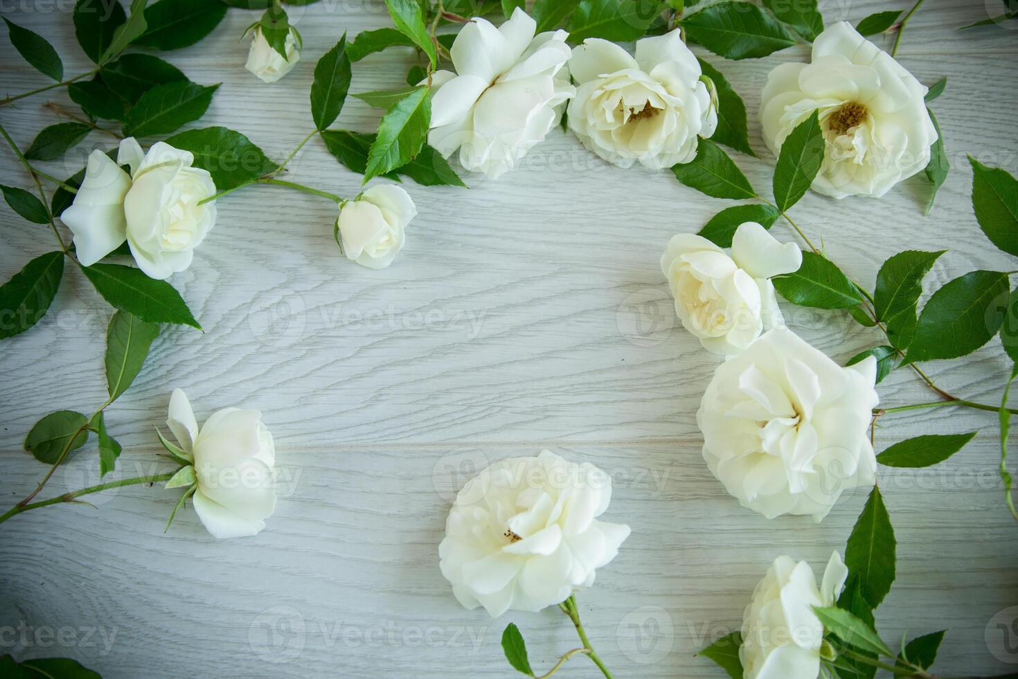 fundo do muitos branco rosas em uma luz de madeira foto