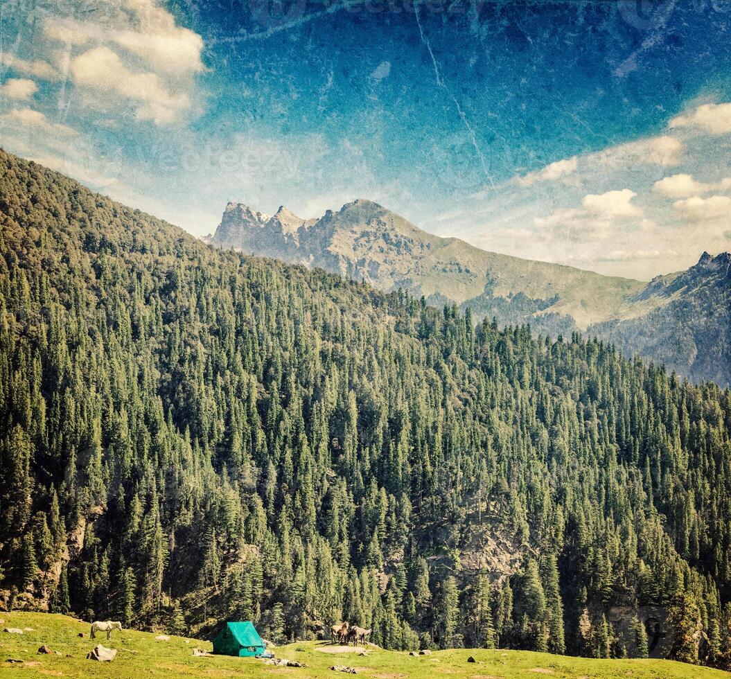 acampamento barraca dentro montanha foto