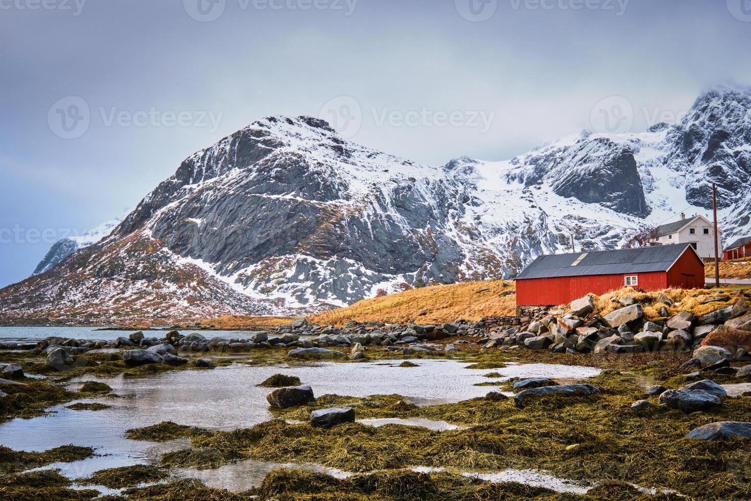 vermelho rorbu casa e fiorde dentro Noruega foto