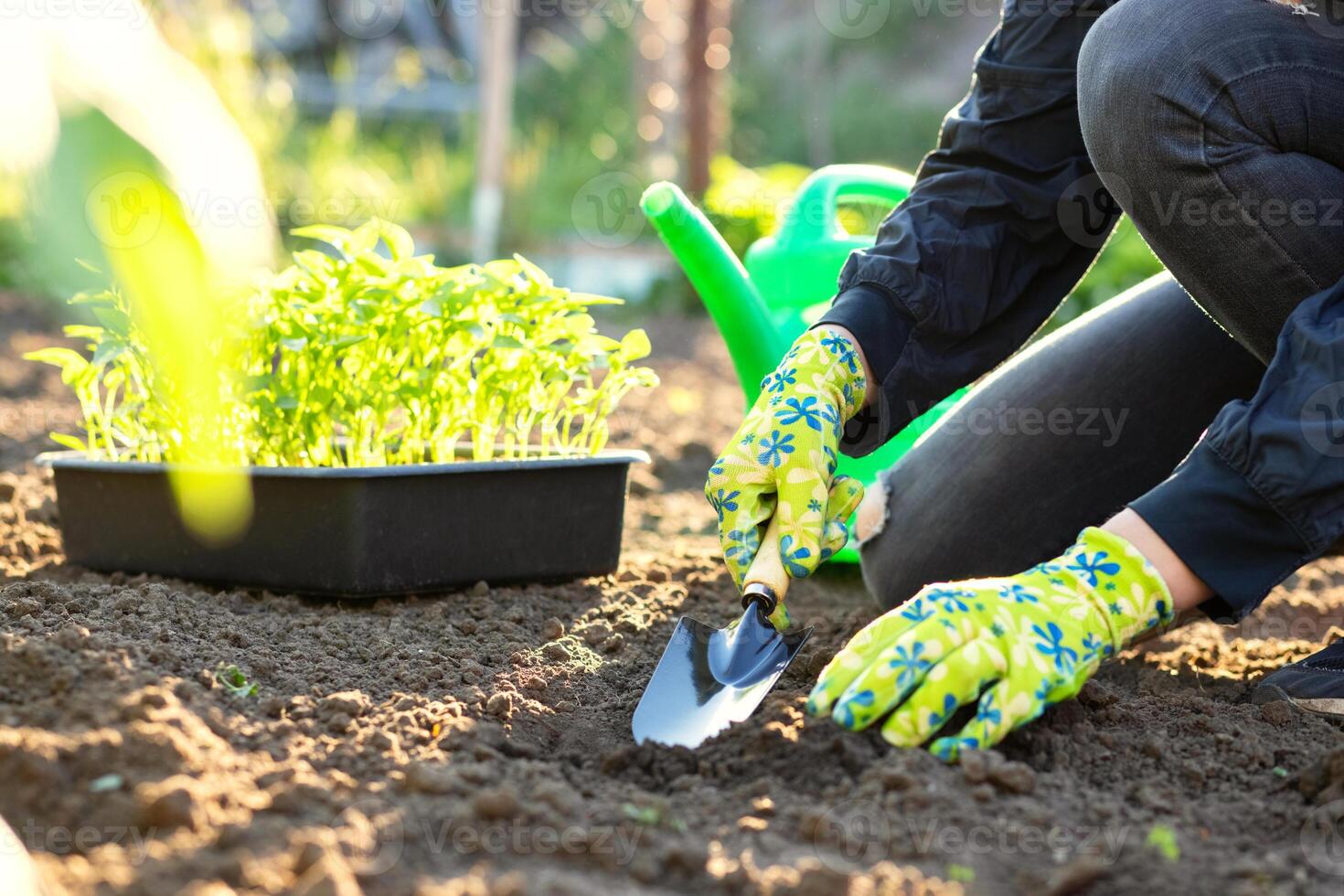 fêmea agricultor mãos plantio para solo plantinha dentro a vegetal jardim foto