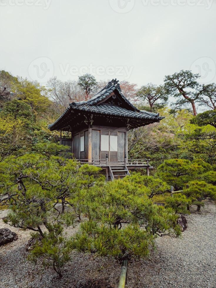 japonês arquitetura imerso dentro natureza foto