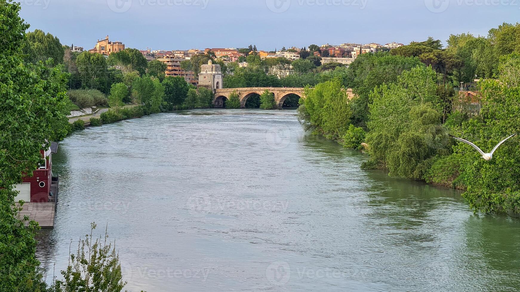 a Tibre rio dentro Roma é uma histórico via fluvial este tem reproduziu uma central Função dentro a da cidade desenvolvimento e cultura. foto