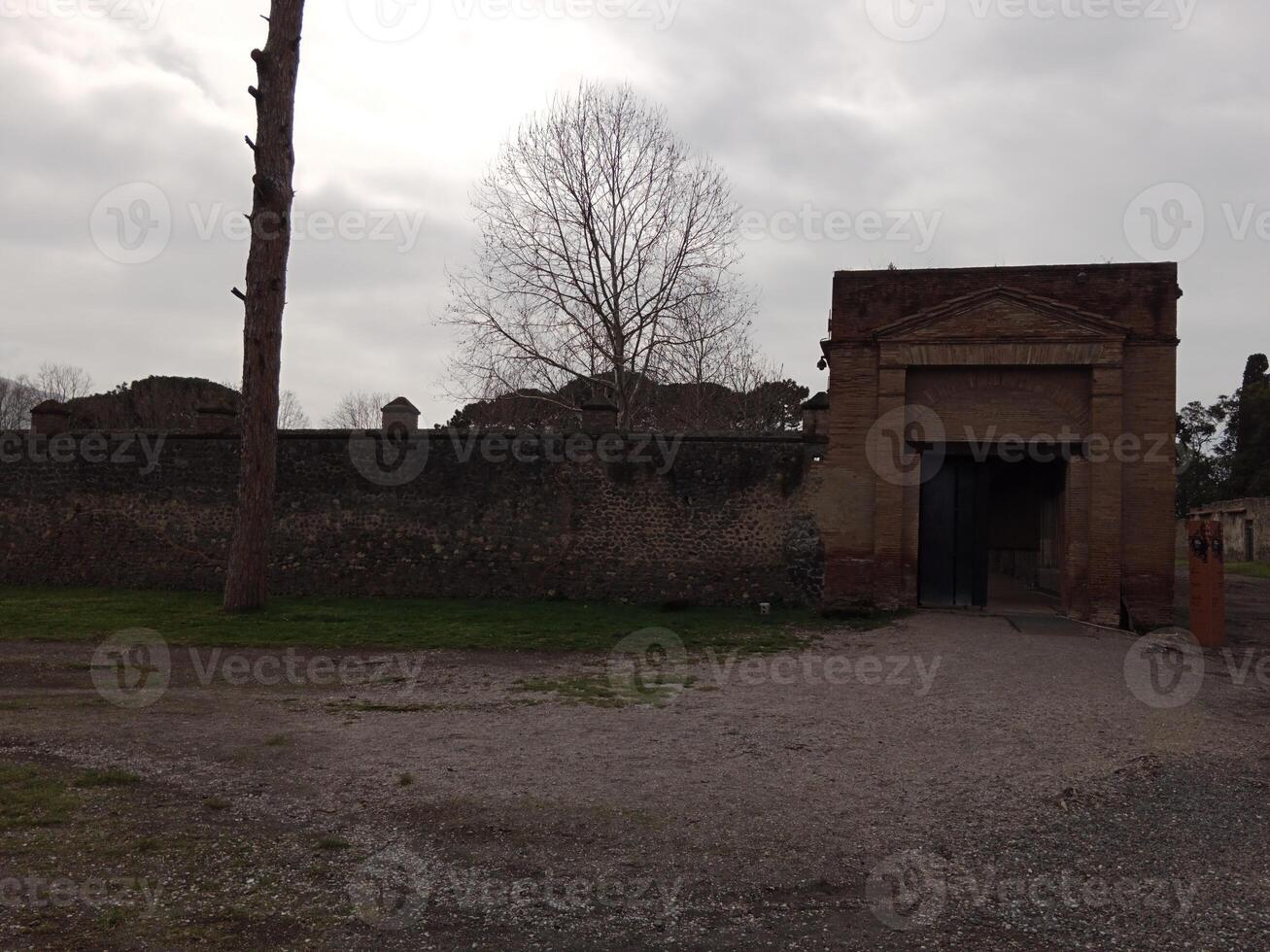 pompéia, a antigo romano cidade enterrado de a erupção do montar Vesúvio, carrinhos Como uma unesco mundo herança site, oferta uma único vislumbre para dentro diariamente vida durante a romano Império. foto