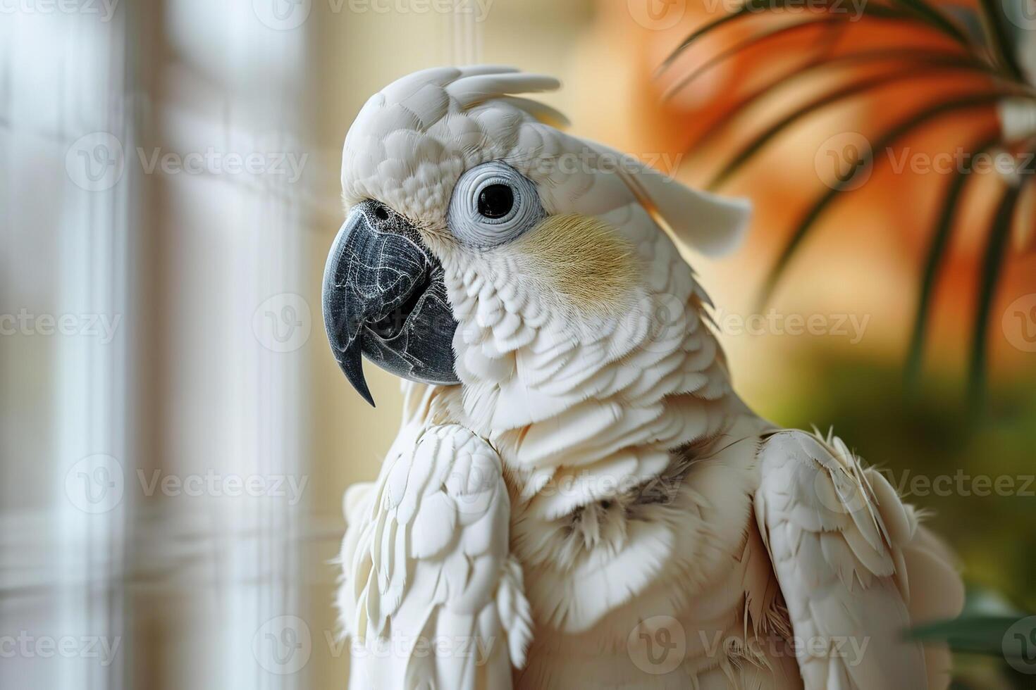 ai gerado fechar-se retrato do uma lindo branco cacatua em uma borrado quarto fundo, lado Visão foto