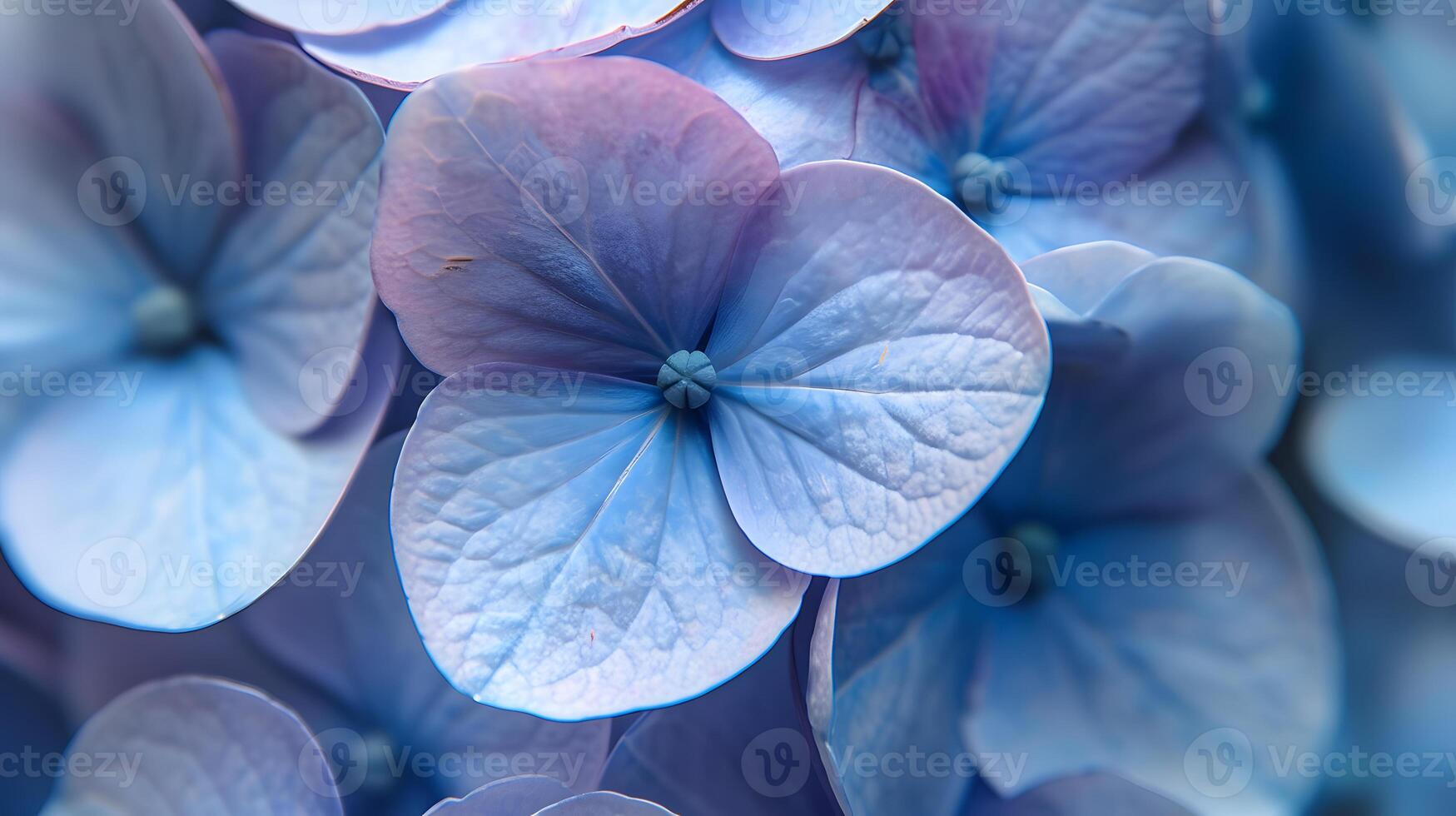 ai gerado pingos de chuva em hortênsia flores macro fotografia foto