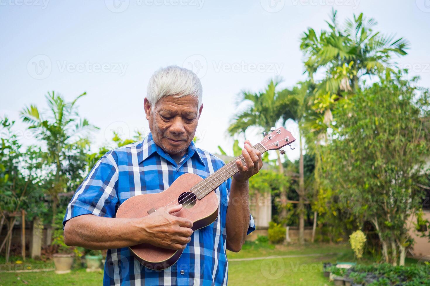 retrato do uma Senior homem jogando a ukulele enquanto em pé dentro uma jardim. espaço para texto. conceito do envelhecido pessoas e relaxamento foto