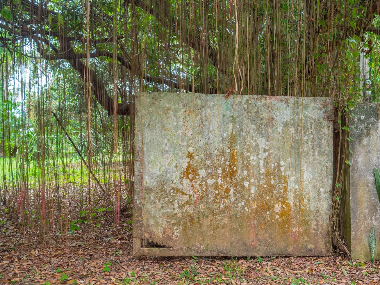 velho portão para dentro uma jardim. a panorama do a árvores dentro a jardim foto