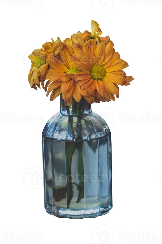 vaso com laranja flor dentro porta foto