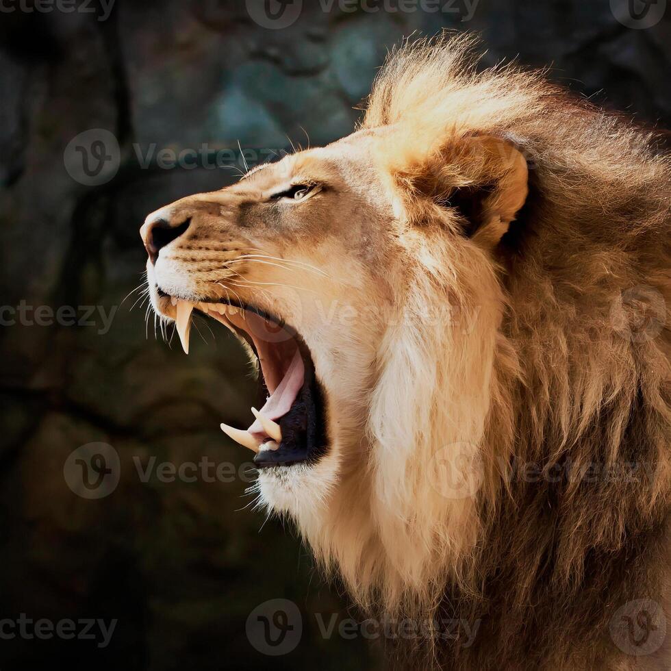 ai gerado momento quando uma leão ruge alto foto